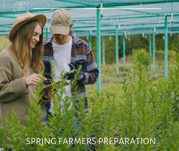 What preparations are made by the farmer in the spring period?