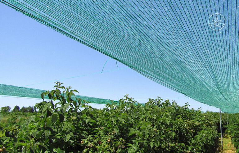 HELLAGRO windproof shade nets: Flexible solutions for multiple applications