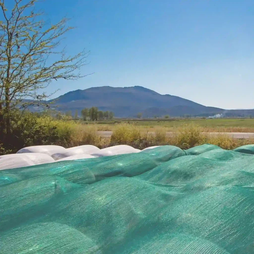 Dixty Prostasias Ensiromatos