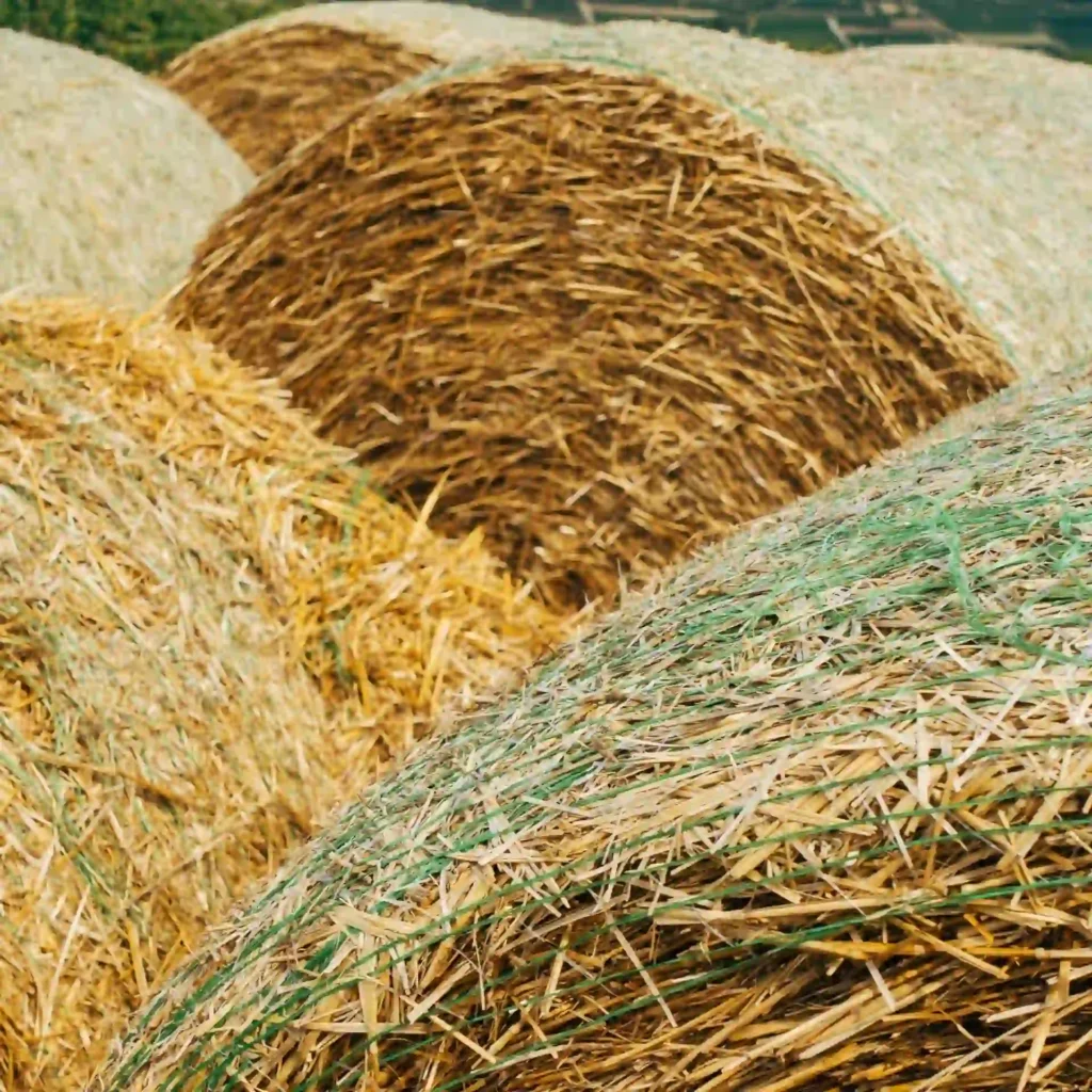 Dixty Xortodesias Axyrou Atlas