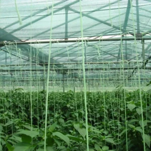 Spaggos Thermokipiou