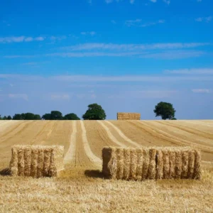 Spaggos Xortodesias Extra