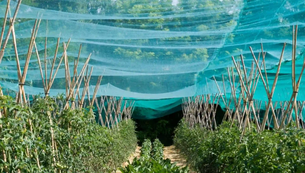 Shade Nets